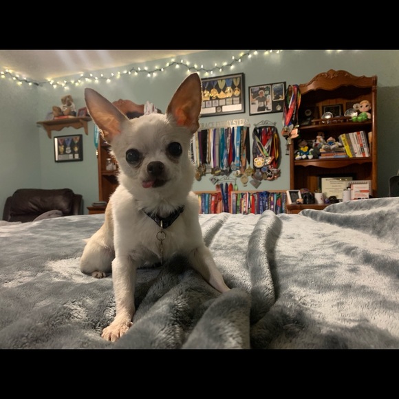 Meet your Posher, Emily - Picture 5 of 5